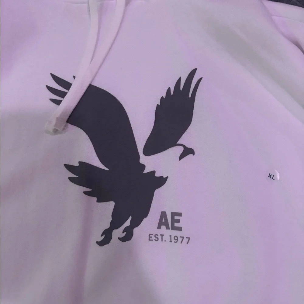American Eagle Outfitters Classic White Hoodie - Picture 2 of 4